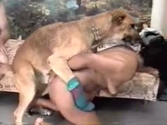 Boyfriend watches as his recent mature partner bows over and receives screwed by their huge dog